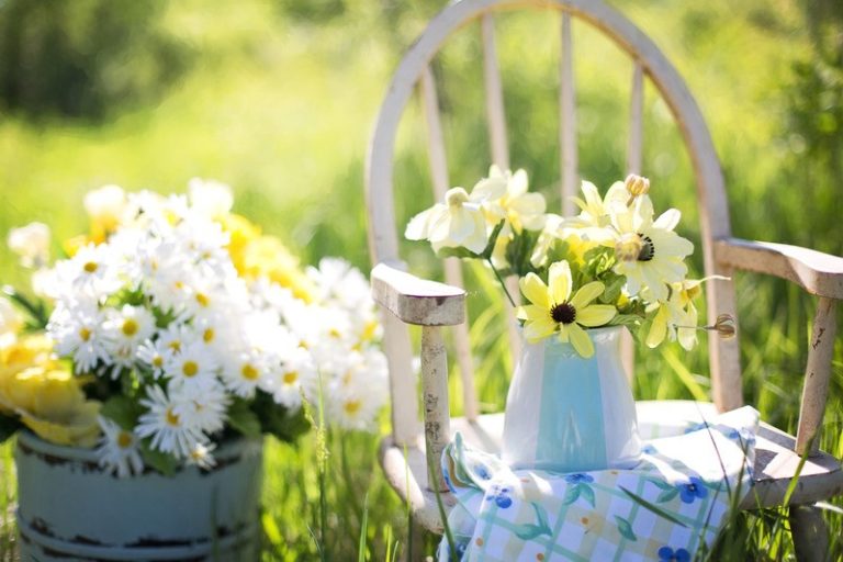 Image jardin